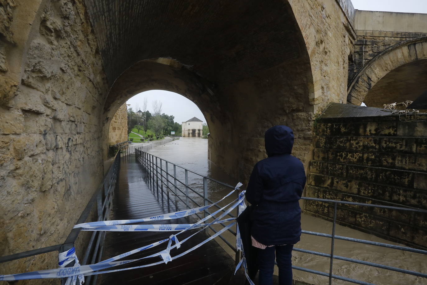 Fotos: la gran crecida del Guadalquivir a su paso por Córdoba