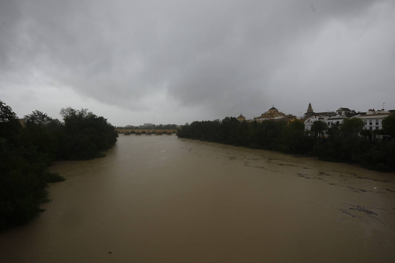 Fotos: la gran crecida del Guadalquivir a su paso por Córdoba