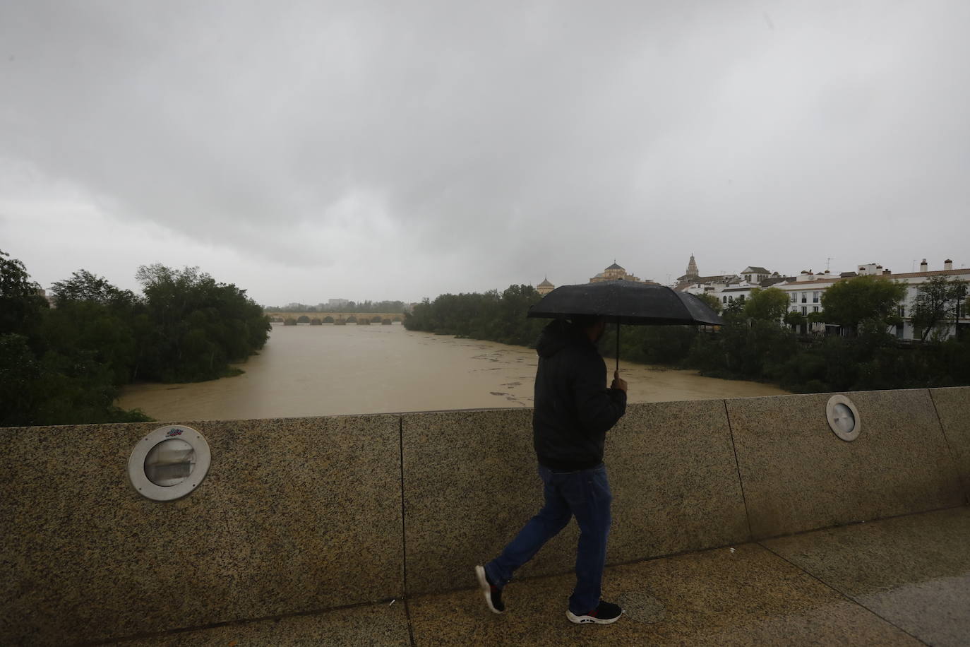 Fotos: la gran crecida del Guadalquivir a su paso por Córdoba
