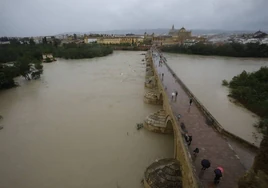 Fotos: la gran crecida del Guadalquivir a su paso por Córdoba
