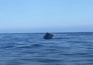 Un coche se cae del ferry en Canarias y se hunde ante los pasajeros