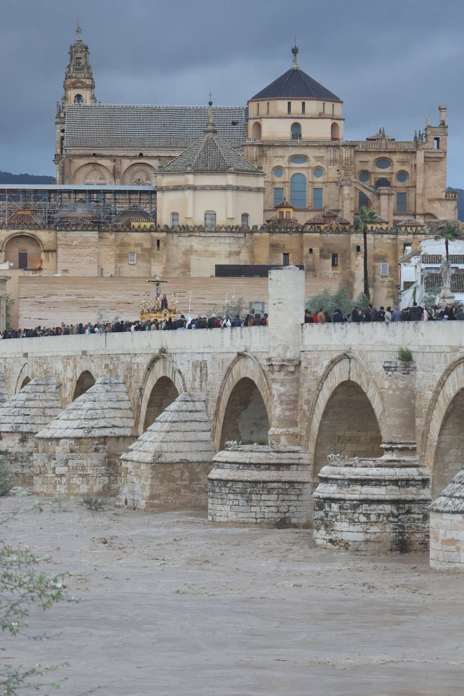 Fotos: los bellos traslados del Amor y la Vera-Cruz desde la Catedral de Córdoba a sus templos