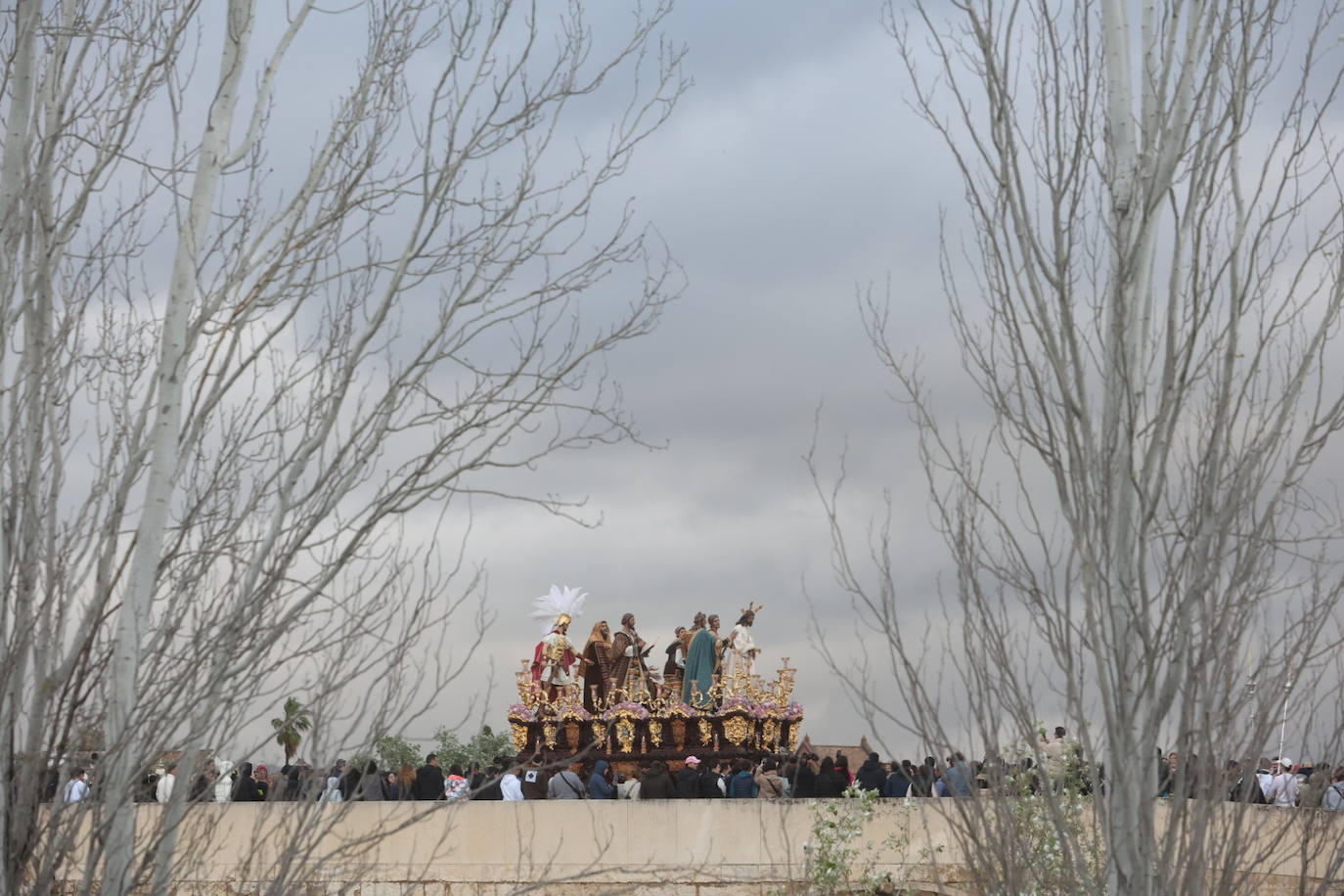 Fotos: los bellos traslados del Amor y la Vera-Cruz desde la Catedral de Córdoba a sus templos