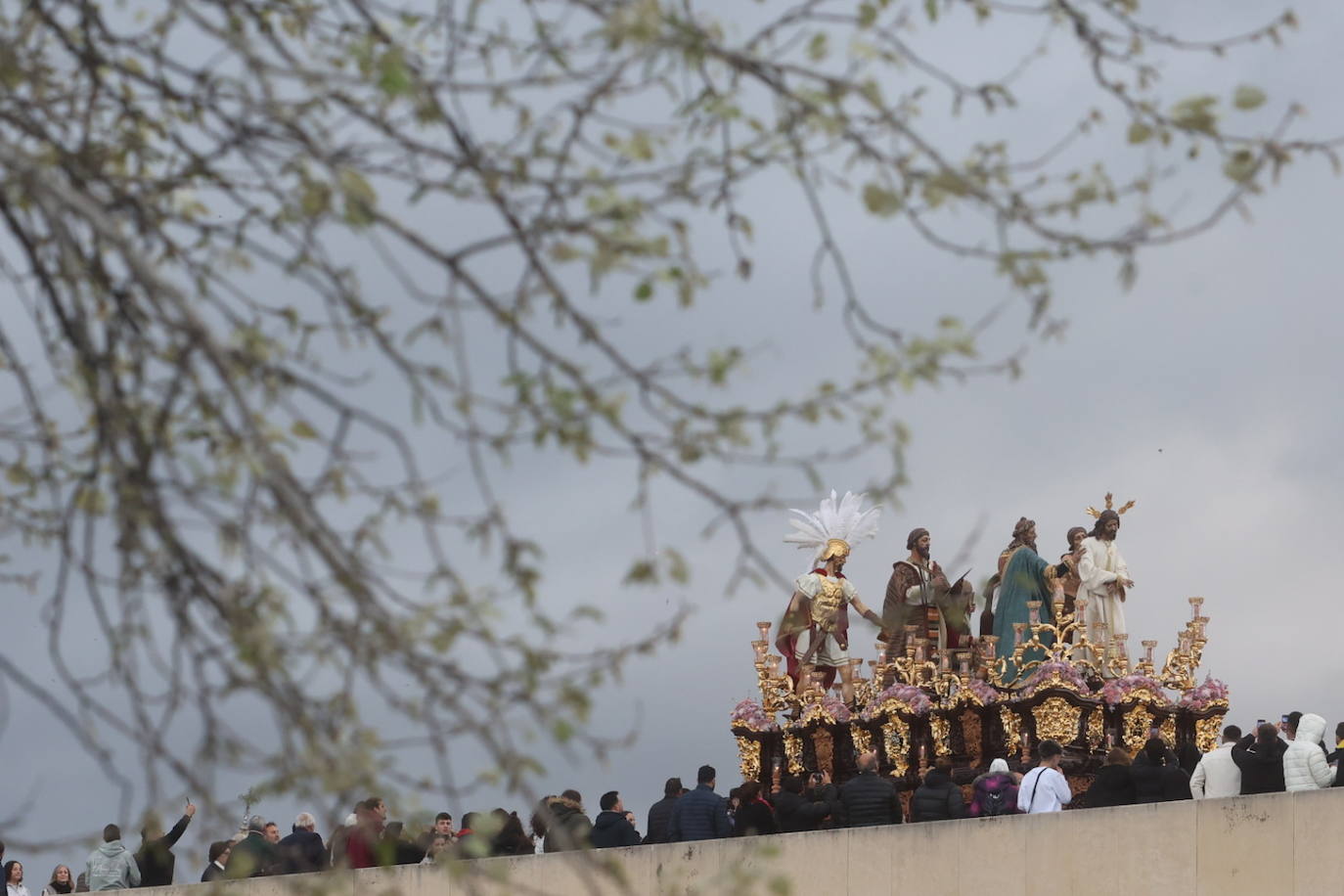 Fotos: los bellos traslados del Amor y la Vera-Cruz desde la Catedral de Córdoba a sus templos