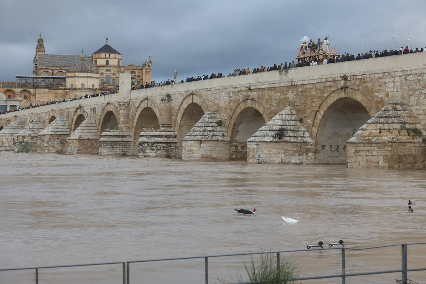 Fotos: los bellos traslados del Amor y la Vera-Cruz desde la Catedral de Córdoba a sus templos
