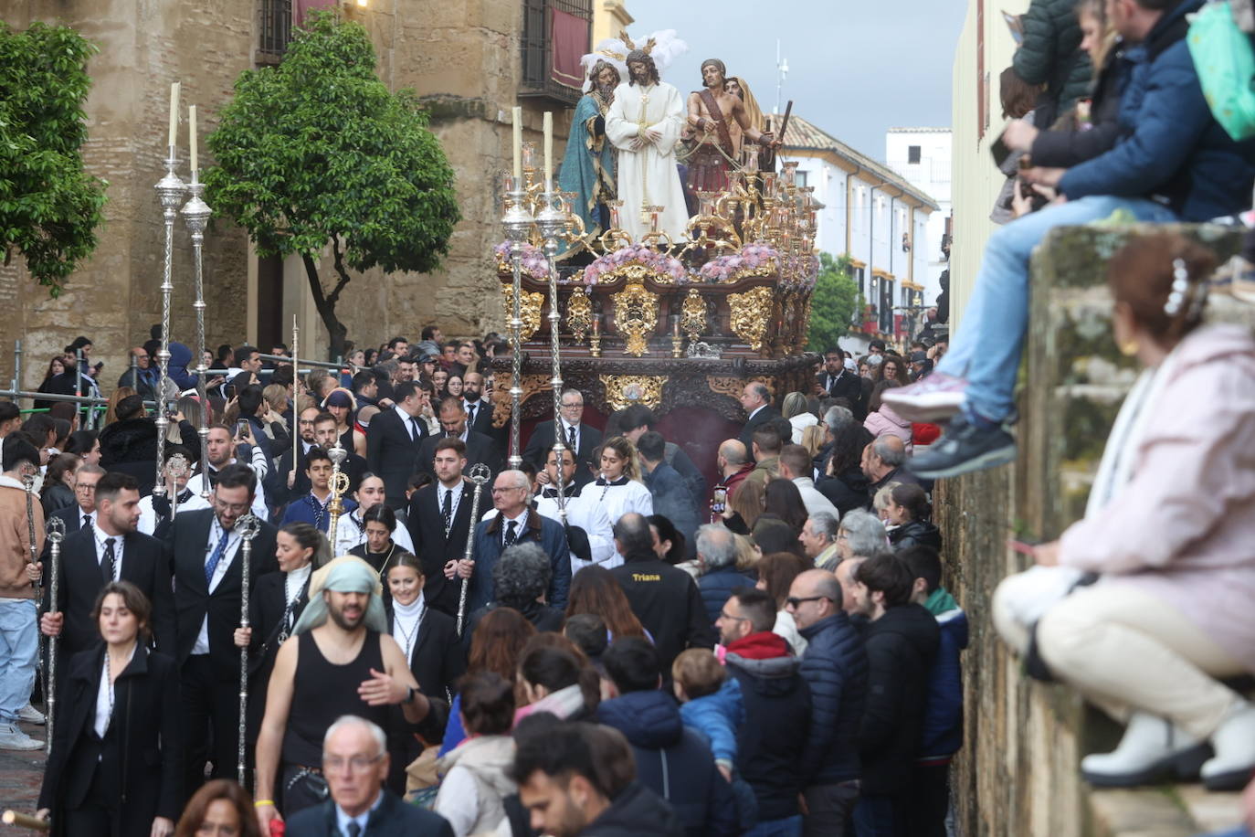 Fotos: los bellos traslados del Amor y la Vera-Cruz desde la Catedral de Córdoba a sus templos