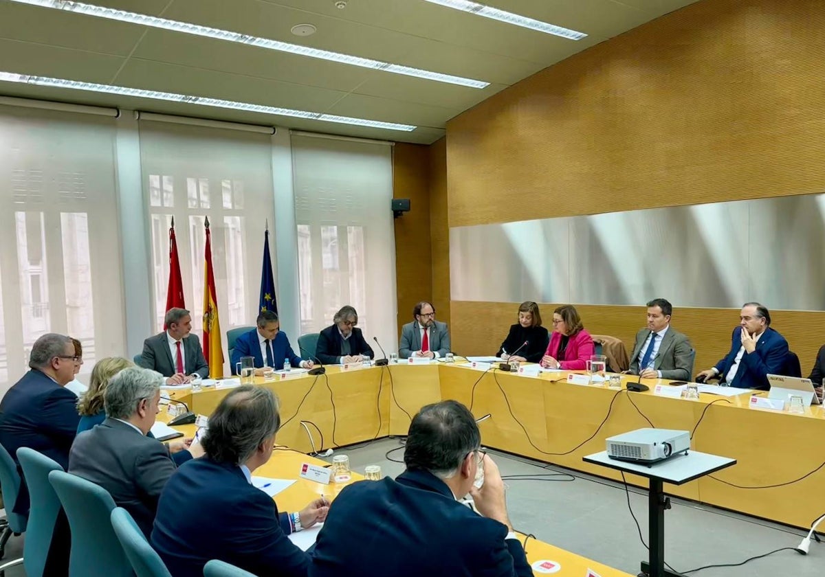 La presidenta de la Diputación y los alcaldes de Toledo y Talavera se han reunido en Madrid con el consejero de Transportes