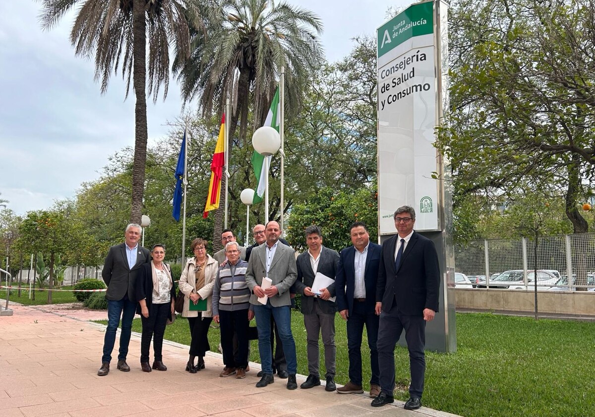 Reunión de los alcaldes con la viceconsejera de Salud