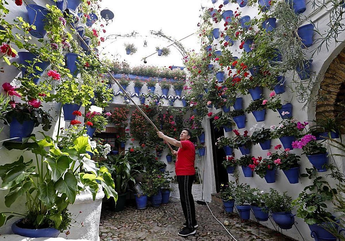 Patios de Córdoba en Mayo