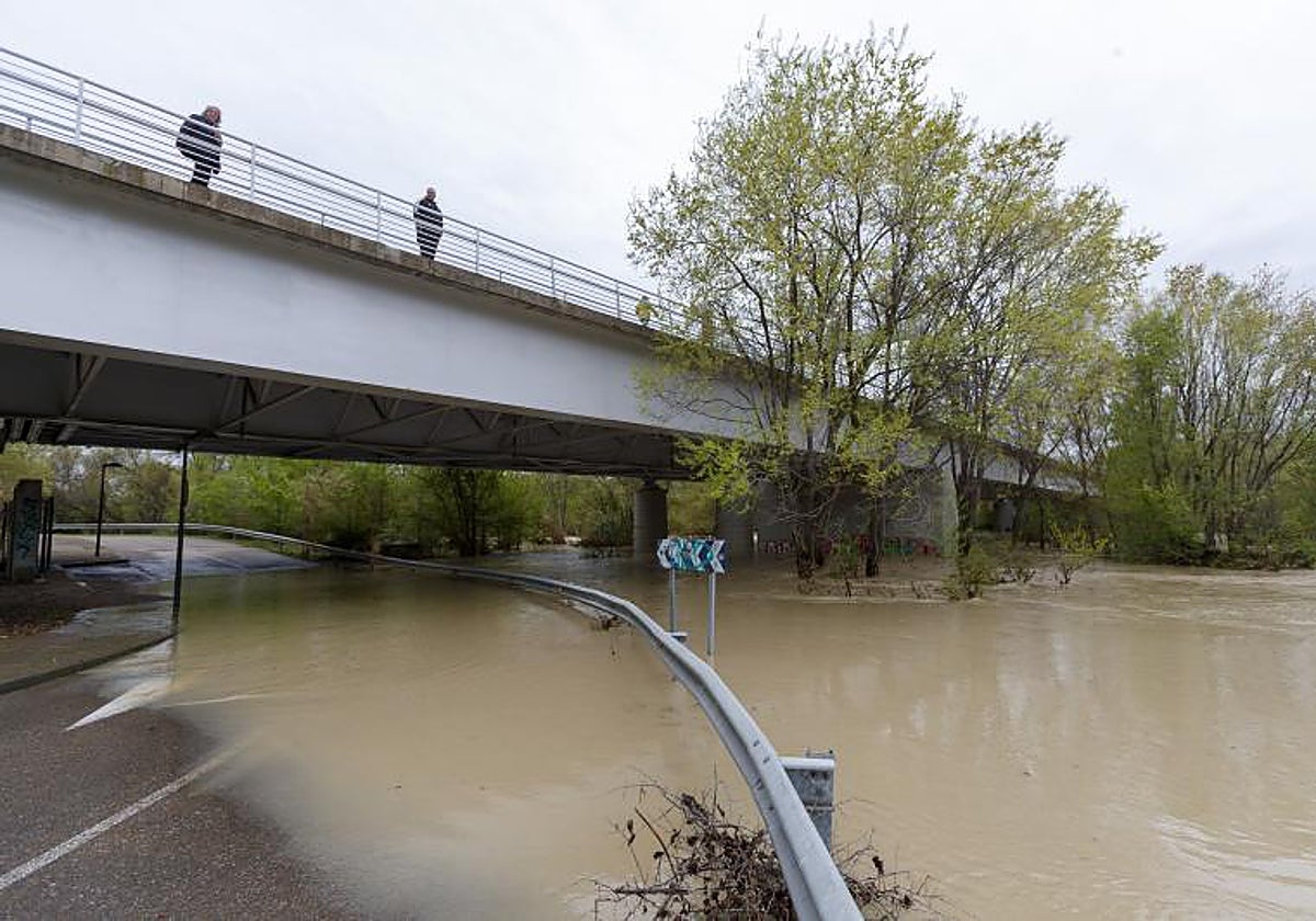 Una carretera inundada por la crecida del río Gállego, que desemboca en el Ebro, en una zona de Zaragoza.