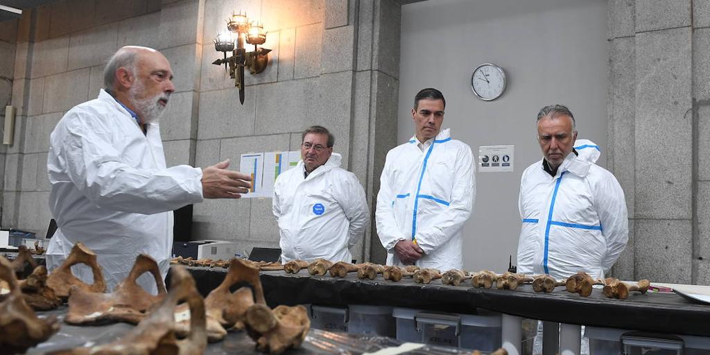 El Gobierno llevará a la ONU las leyes de memoria de PP-Vox y Sánchez ...