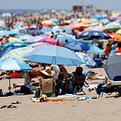 Drago Canarias se suma a las concentraciones contra la masificación turística