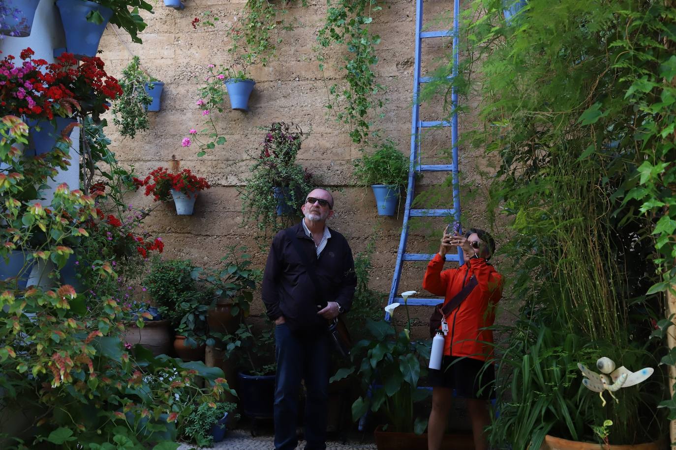 Las imágenes de la belleza de los patios de Córdoba en abril