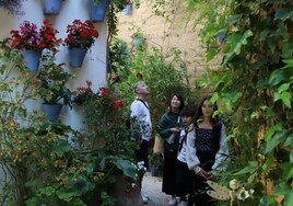 Las imágenes de la belleza de los patios de Córdoba en abril
