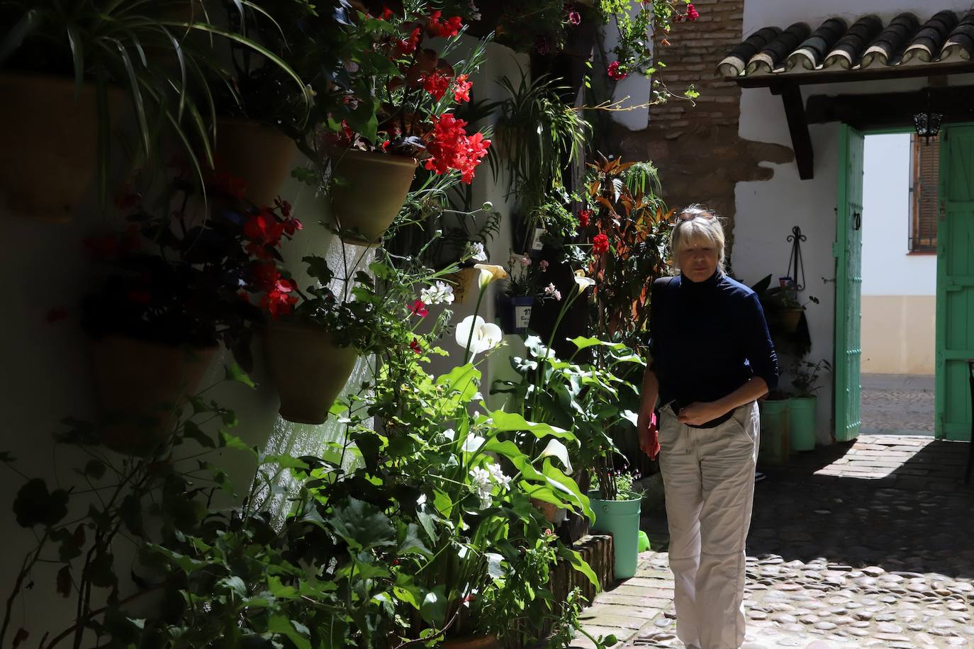 Las imágenes de la belleza de los patios de Córdoba en abril