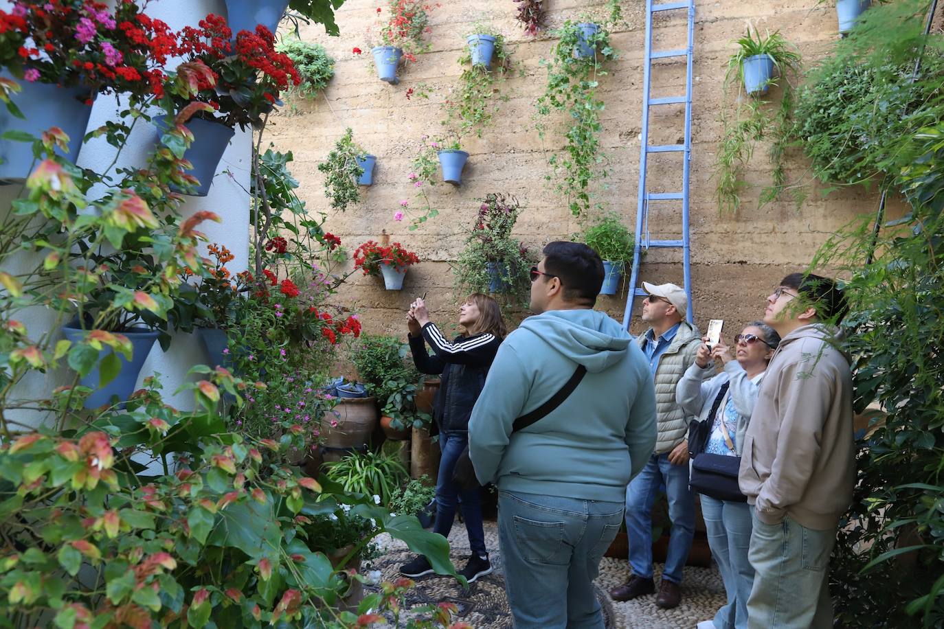 Las imágenes de la belleza de los patios de Córdoba en abril