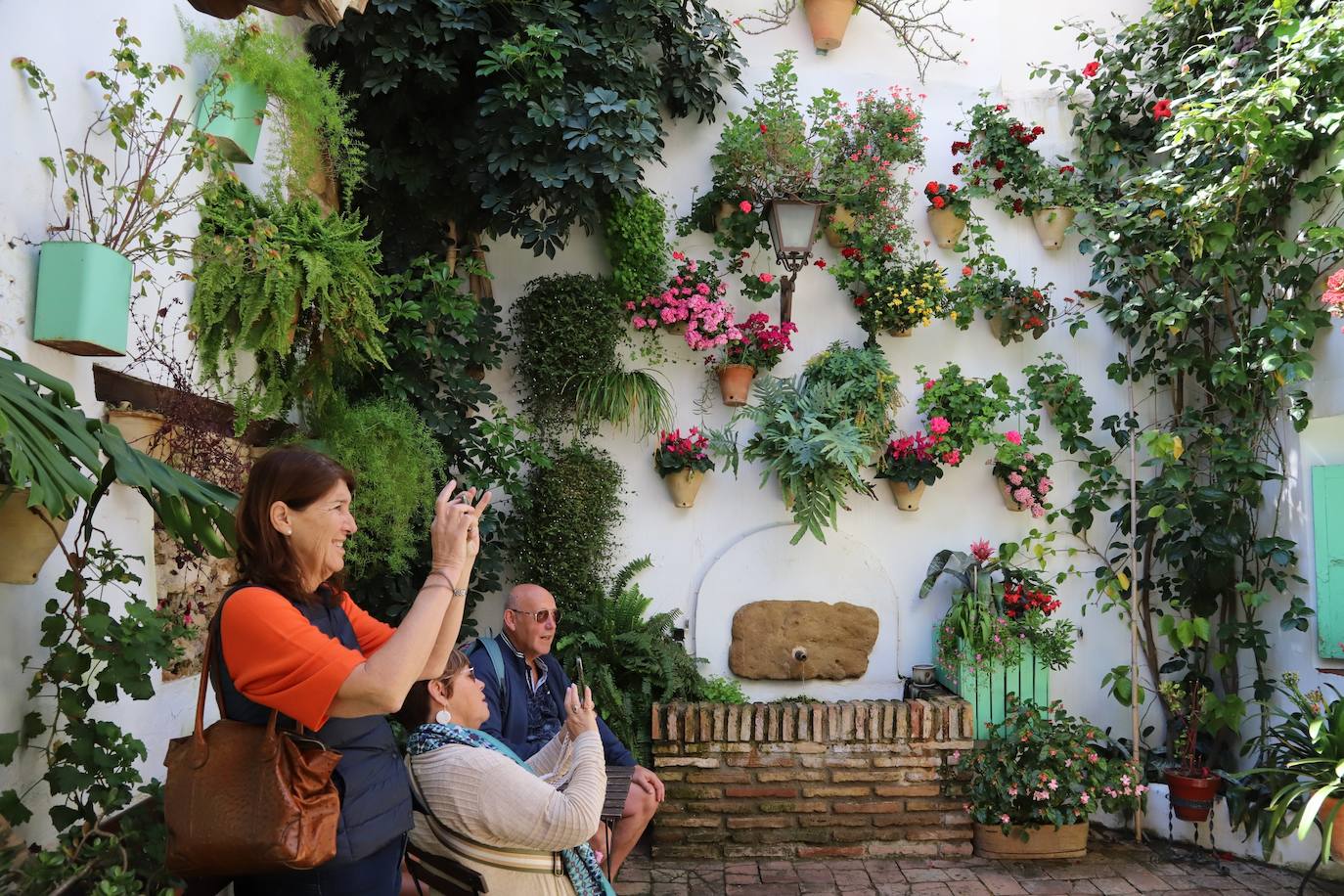 Las imágenes de la belleza de los patios de Córdoba en abril