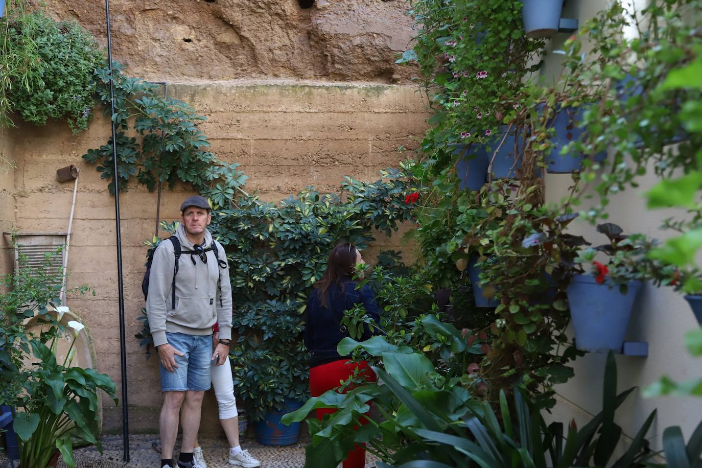 Las imágenes de la belleza de los patios de Córdoba en abril