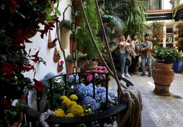 Estos son los recintos que participan el próximo mayo en el Concurso de Patios de Córdoba 2024