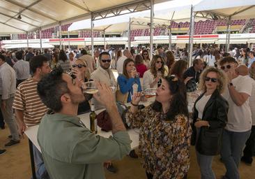 Bellido confía en que la suspensión de la Cata es «excepcional» y ofrece ayuda al Consejo Regulador para retomarla