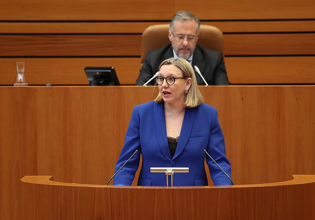 La consejera de Familia e Igualdad de Oportunidades, Isabel Blanco, en las Cortes de Castilla y León