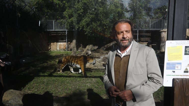 Daniel García -Ibarrola Delegado de Turismo, Sostenibilidad y Medio Ambiente, en la presentación de esta mañana de los tigres de bengala