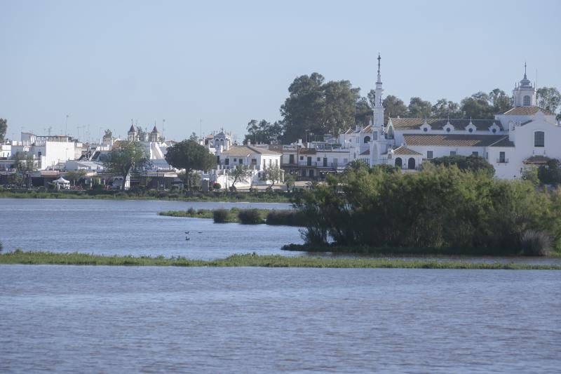 La Madre de las marismas fluye a su paso por el Rocío,