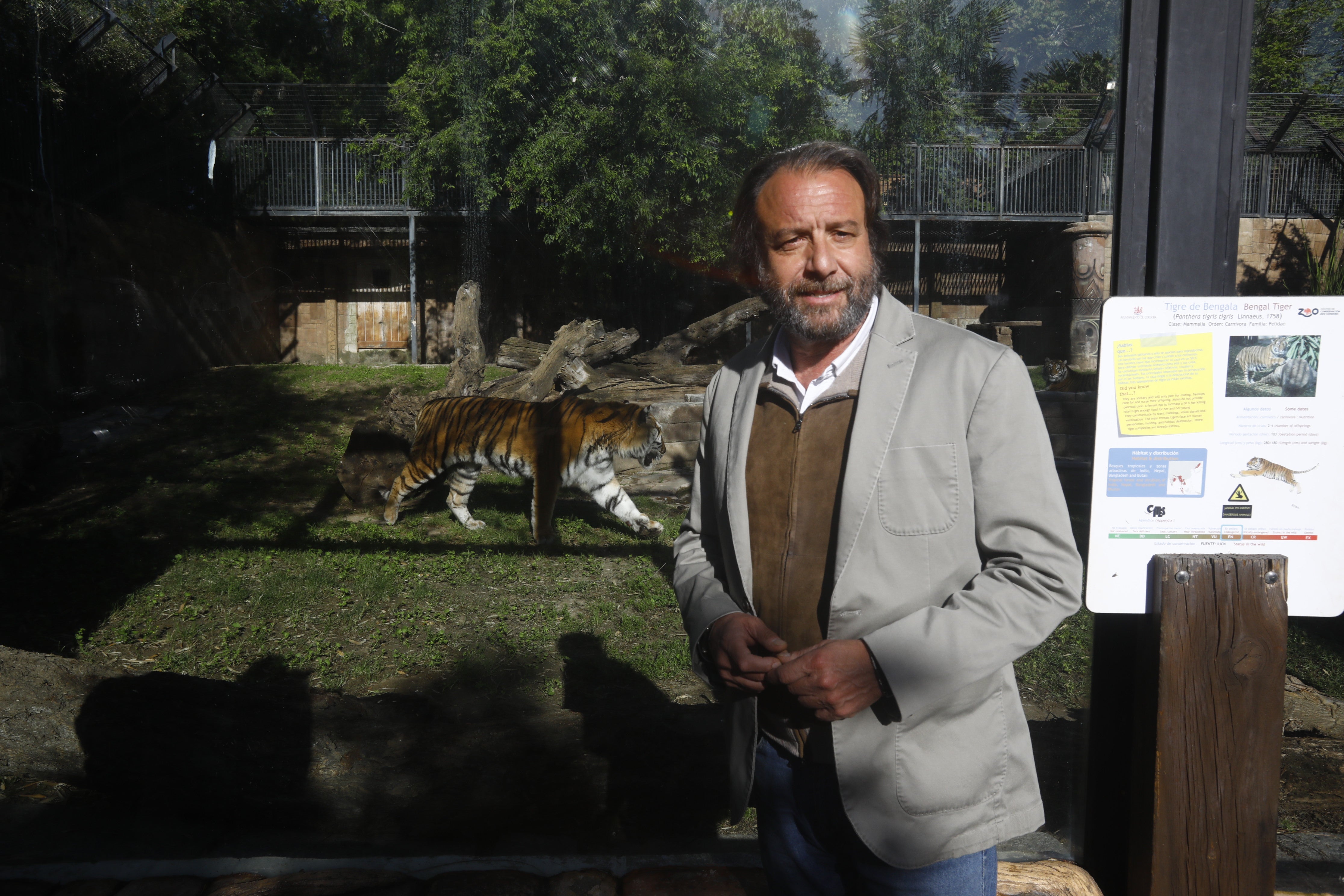 Las imágenes de los nuevos tigres de bengala del Zoo de Córdoba