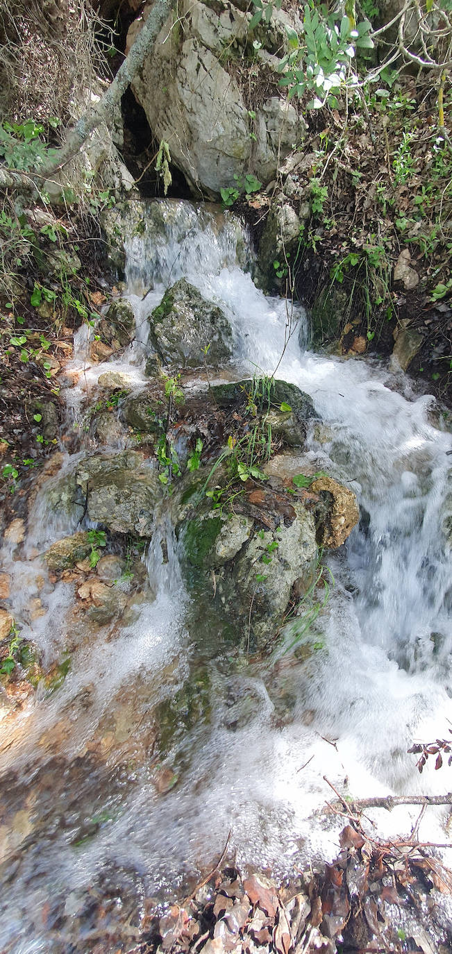 Fotos: el agua recobra su lugar en los parajes naturales de la Subbética de Córdoba