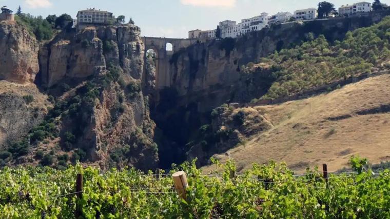 La Serranía de Ronda es uno de los principales productores de vinos de Málaga