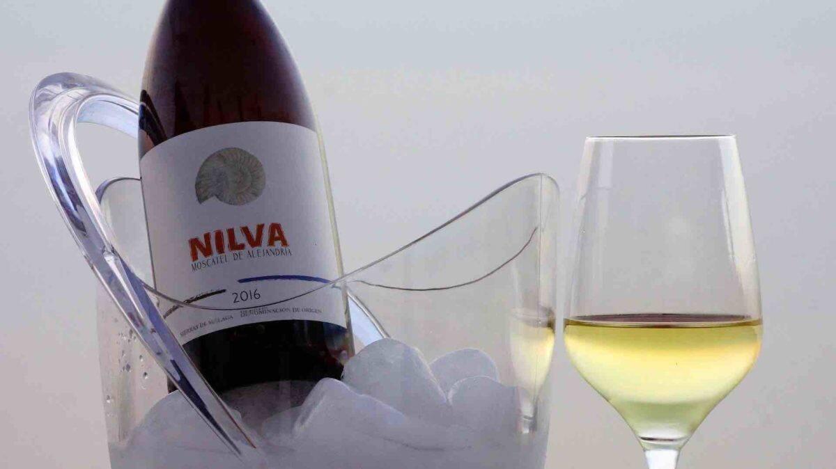 Nilva es el primer vino elaborado en la Costa Occidental amparado por lña DO Sierras de Málaga