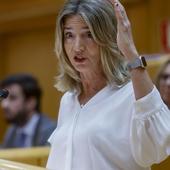 La portavoz del PP En el Senado, Alicia García, durante un pleno