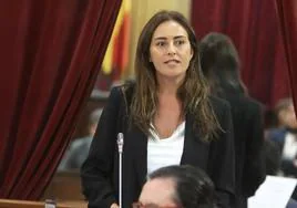 Se reabre la crisis en Vox Baleares con las dimisiones como portavoces de dos diputados 'rebeldes'