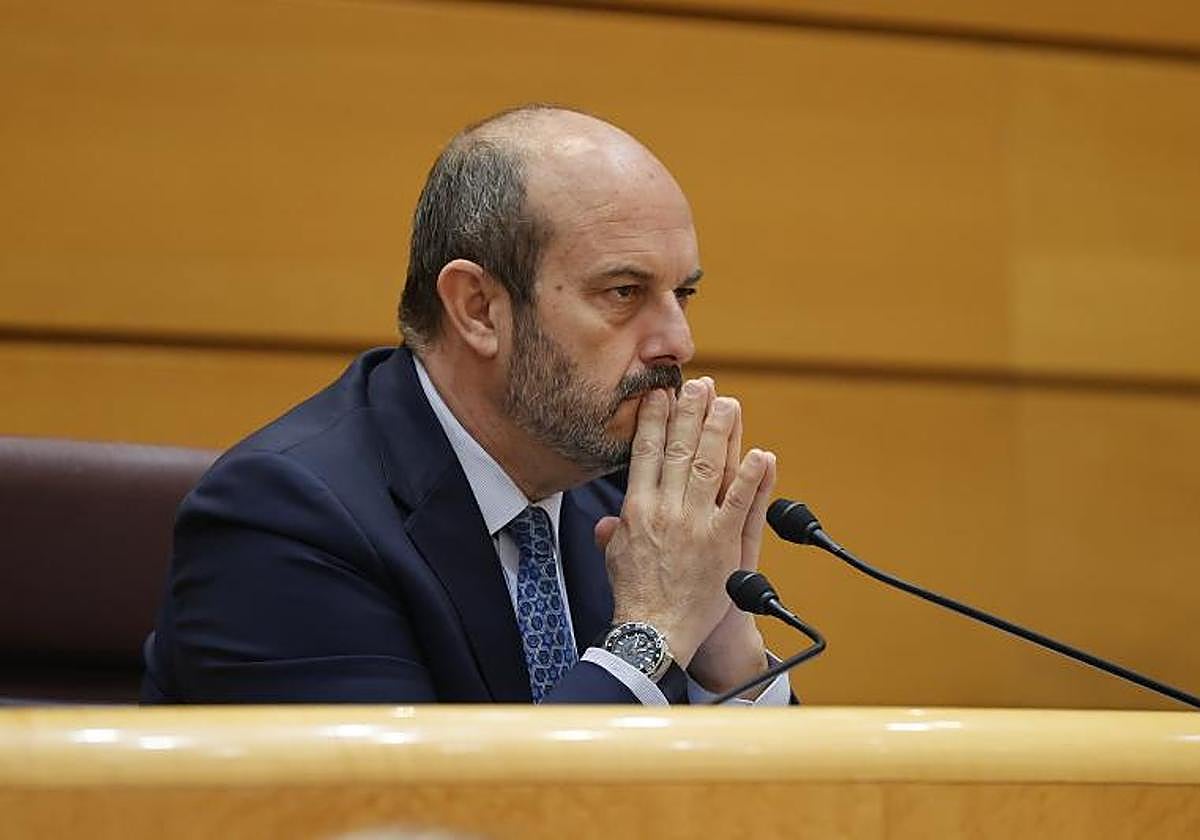 El presidente del Senado, Pedro Rollán, durante una sesión en la Cámara Alta