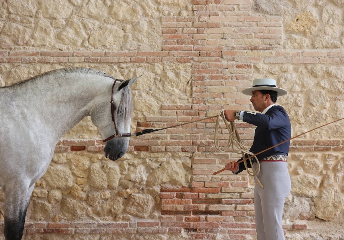 Una actividad de Cabalcor en las Caballerizas Reales de Córdoba