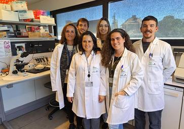 Investigación del Imibic: diseñan un material que regenera córneas inflamadas y evita trasplantes