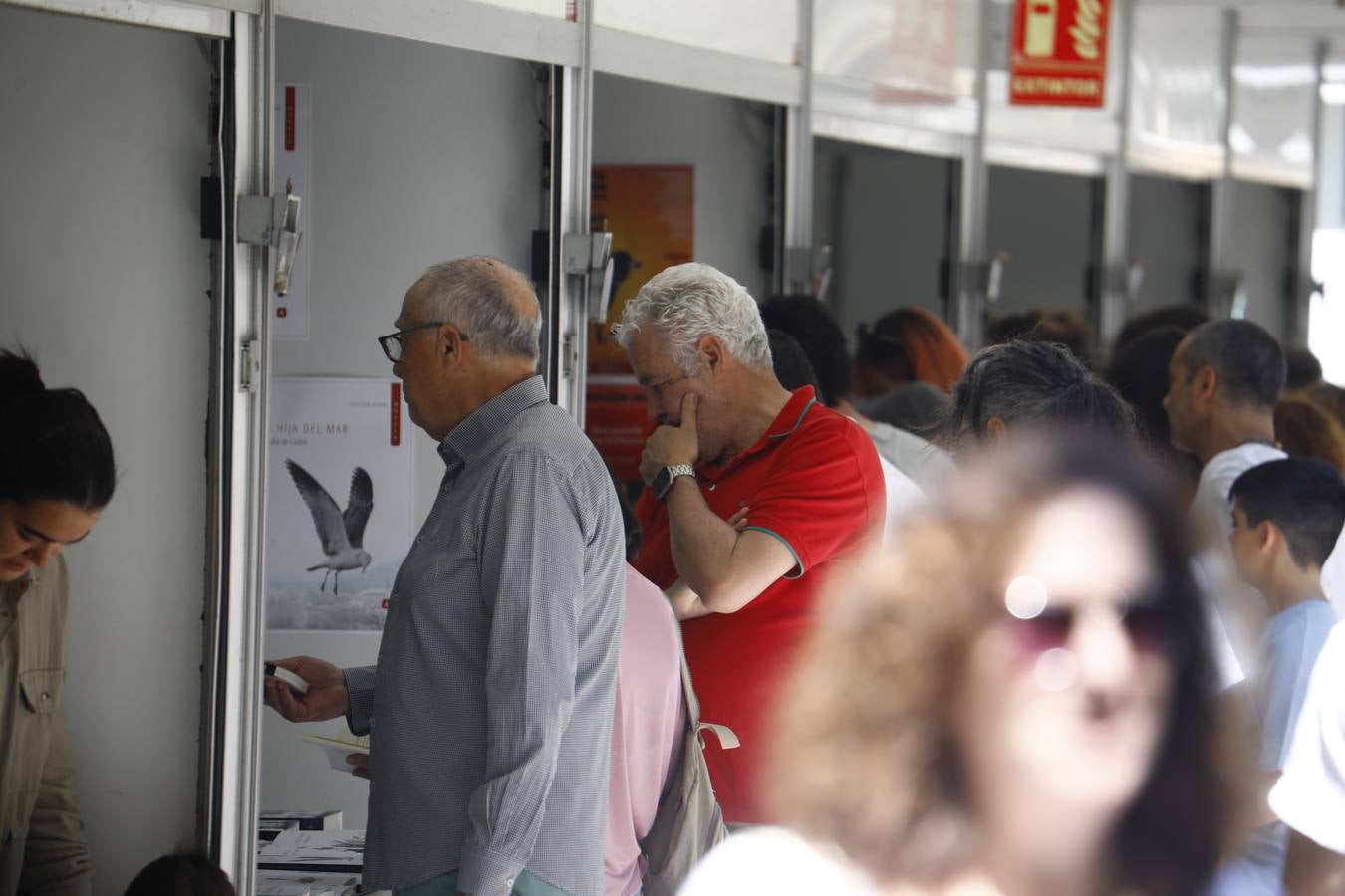 Las imágenes de la Feria del Libro de Córdoba en un domingo de gran ambiente