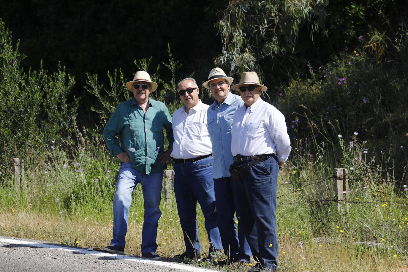Fotos: la colorida romería de Santo Domingo en Córdoba