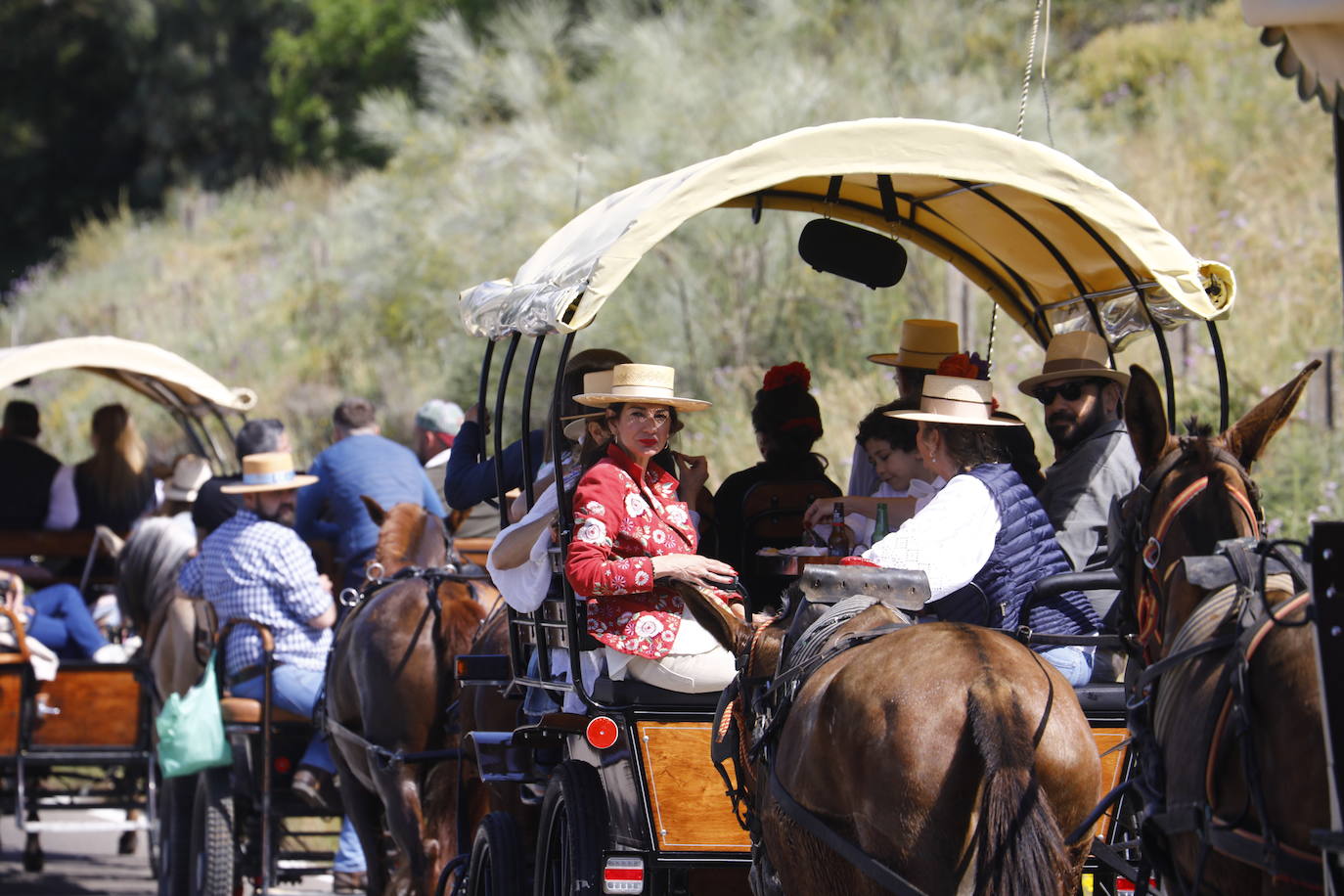Fotos: la colorida romería de Santo Domingo en Córdoba