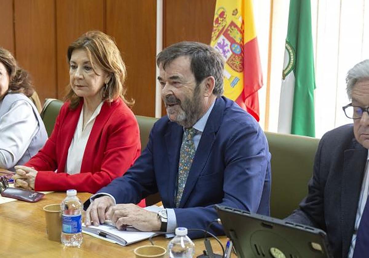 El CGPJ insta al Gobierno a que amplíe hasta 2029 el plazo para revisar ...