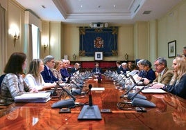 El CGPJ acuerda por unanimidad que se investigue la fuga del líder de la Mocro Maffia