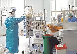 El Servicio Andaluz de Salud actualiza los méritos de los profesionales de Alergología, Medicina Intensiva e Interna