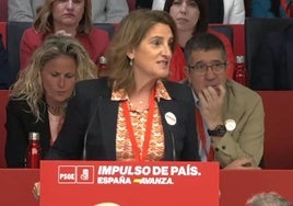 Teresa Ribera: «A los socialistas nos pueden llamar perros porque somos fieles y leales»