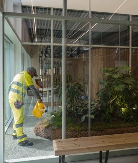 Imagen secundaria 2 - Los 1.400 metros dedicados a centro de atención diurna de ELA en el Zendal se han acondicionado: se han tratado los techos, la iluminación (imagen superior), y se han decorado los espacios dotándolos también de intimidad, además de incorporar elementos vegetales (abajo)