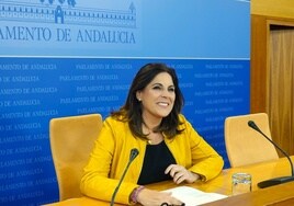 El PSOE andaluz incluye a RTVA entre los medios a 'regenerar' por Sánchez