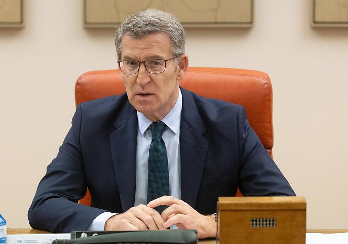 El presidente del Partido Popular, Alberto Núñez Feijóo, reunido con su grupo parlamentario