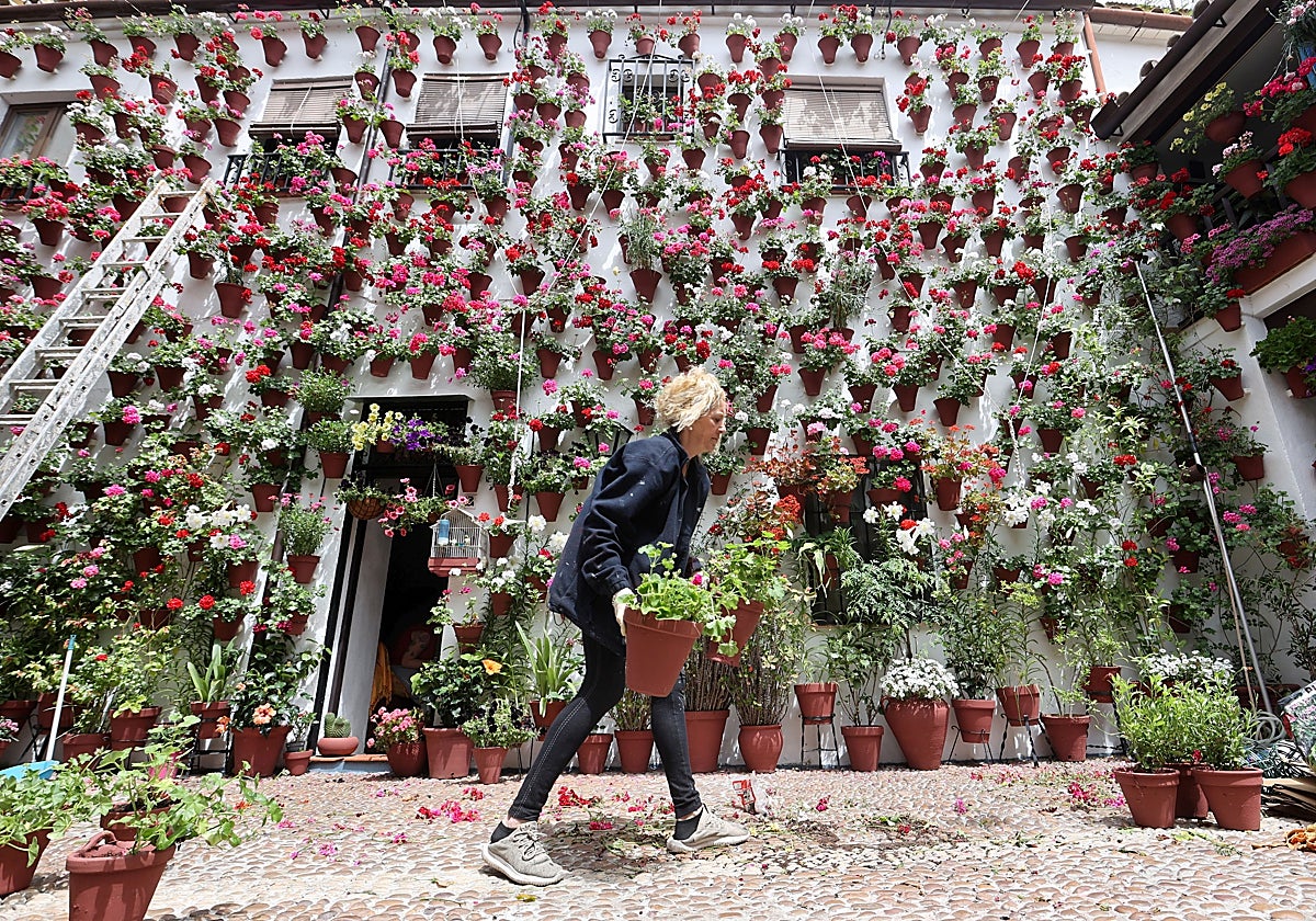 Una mujer dispone macetas en un patio de la calle Martín de Roa