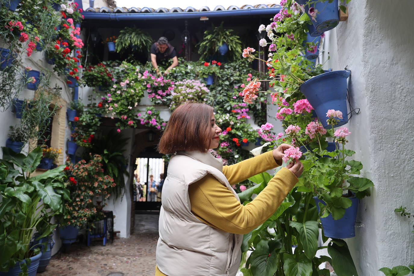 Fotos: los preparativos para el comienzo de los Patios de Córdoba