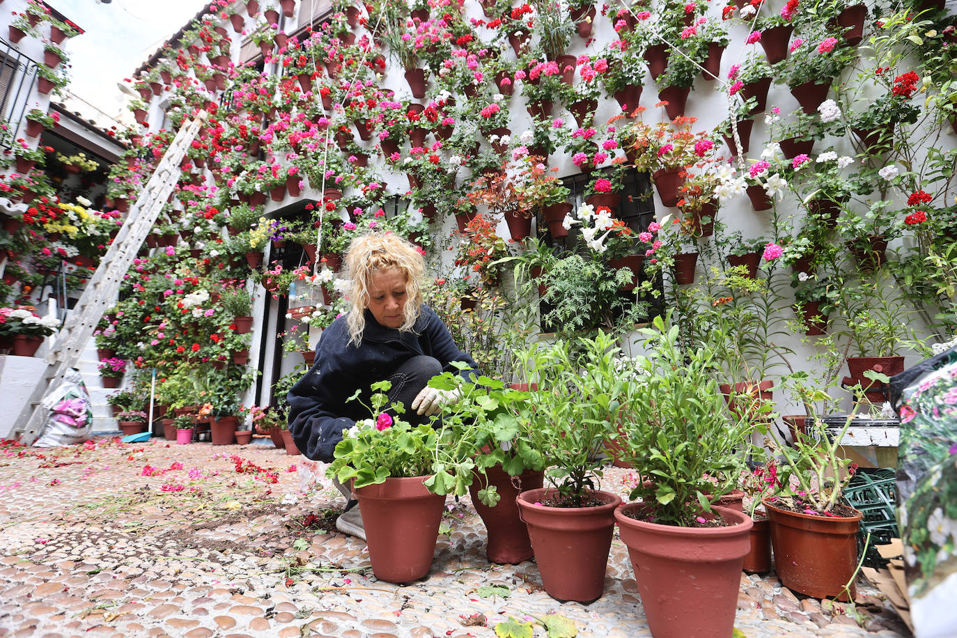 Fotos: los preparativos para el comienzo de los Patios de Córdoba