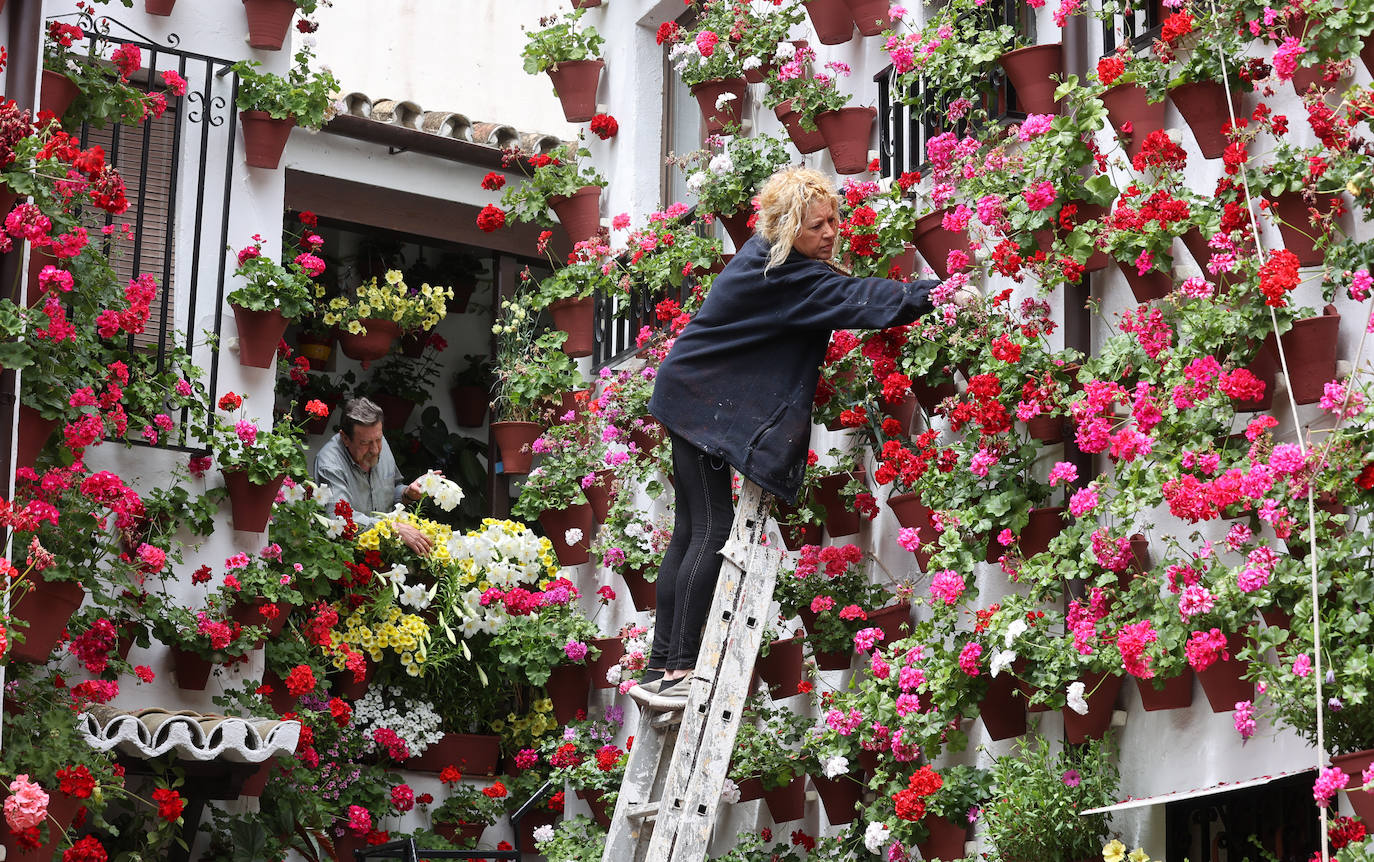 Fotos: los preparativos para el comienzo de los Patios de Córdoba